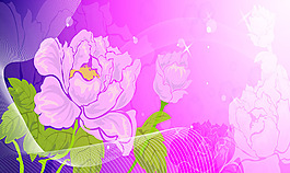 紫色花卉圖片素材
