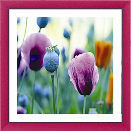 花朵裝飾畫(huà)