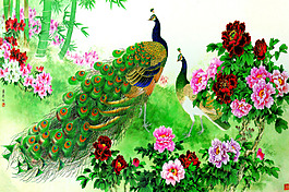 孔雀花卉背景墻