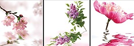 花朵裝飾畫