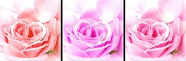 花朵裝飾設(shè)計(jì)