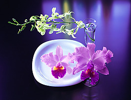 時(shí)尚簡(jiǎn)約裝飾畫