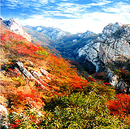秋天風(fēng)景裝飾畫