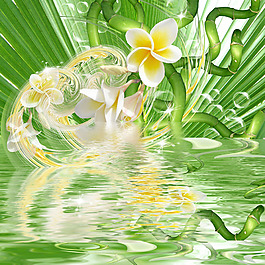 綠色植物裝飾畫