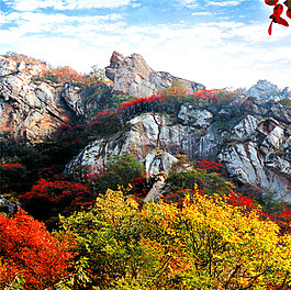 秋天風(fēng)景裝飾畫