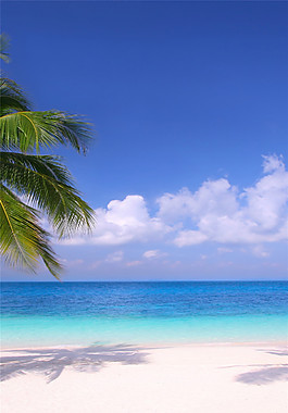 海灘風(fēng)景裝飾畫