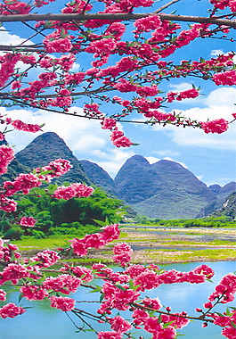 花朵風(fēng)景裝飾畫