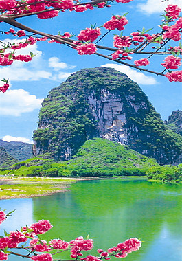 花朵風(fēng)景裝飾畫(huà)
