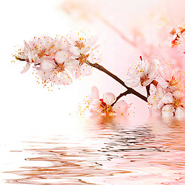 花朵裝飾素材背景