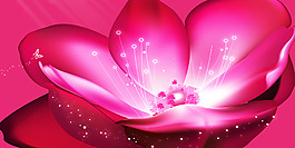 花朵裝飾畫