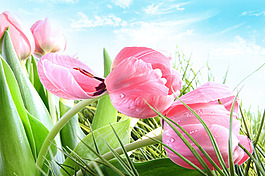 花朵裝飾背景墻
