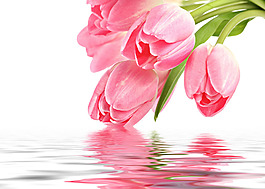 時(shí)尚花卉裝飾畫
