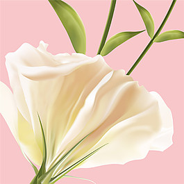清新粉色背景花束装饰画
