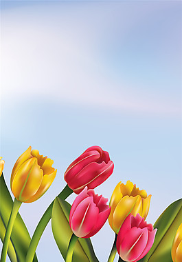 淡雅清新背景郁金香裝飾畫(huà)