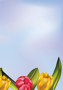 淡雅背景五彩逼真郁金香裝飾畫(huà)