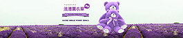 浪漫薰衣草熊banner設(shè)計(jì)psd