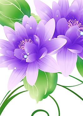 花朵裝飾畫(huà)