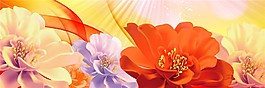 仿真花朵圖片裝飾畫