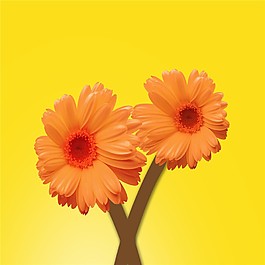 花朵裝飾畫(huà)
