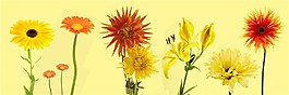 各種花朵圖片裝飾畫(huà)