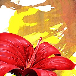 紅色花朵裝飾畫