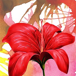 紅色花朵裝飾畫