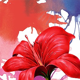 紅色花朵裝飾畫