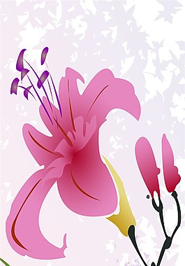 粉色花朵裝飾畫