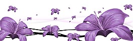 紫色花朵裝飾畫