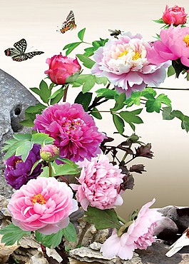 牡丹花開(kāi)裝飾畫(huà)
