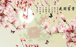 花開富貴背景墻