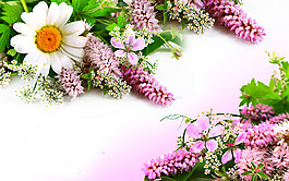 花卉元素裝飾背景墻