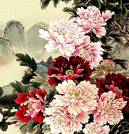 牡丹花裝飾畫(huà)