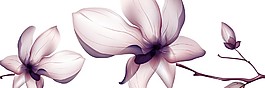 花朵效果裝飾畫