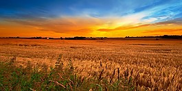 晚霞風(fēng)景裝飾畫