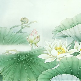 荷花蓮葉裝飾畫