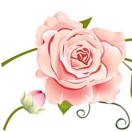花朵裝飾畫(huà)