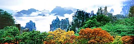 風(fēng)景裝飾畫