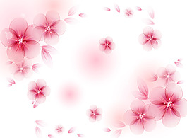 花卉元素背景墻