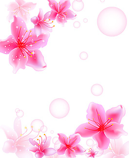 花瓣装饰背景墙