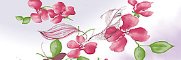 花朵家居裝飾畫