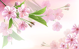 花卉裝飾背景墻