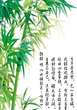 漂亮竹子創(chuàng)意詩(shī)意裝飾畫(huà)
