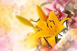 光斑朦胧花束装饰画