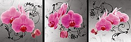 粉色蝴蝶花裝飾畫