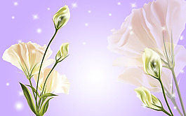 百合裝飾背景墻
