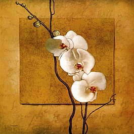 白色花枝裝飾畫