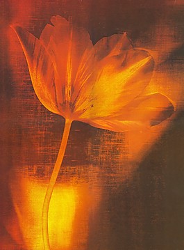 油畫花朵裝飾畫