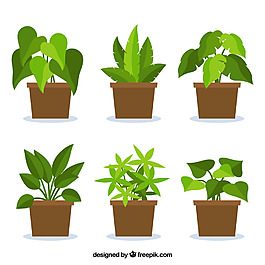 創意綠植元素