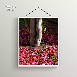 植物攝影風(fēng)景無框裝飾畫